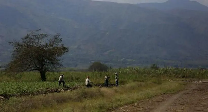 Homicidio de trabajadores de ingenio azucarero en Cauca; hay otro desaparecido