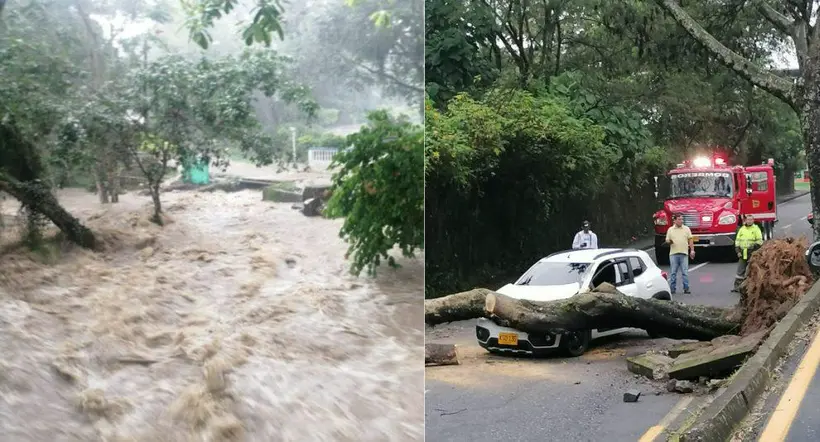 Lluvias azotan a Ibagué y causan emergencias, árboles caídos y calles inundadas
