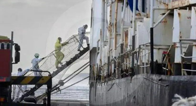 La historia de “Orión V”, el buque que zarpó de Colombia con 1.750 vacas y cayó en España con 4,5 kilos de cocaína