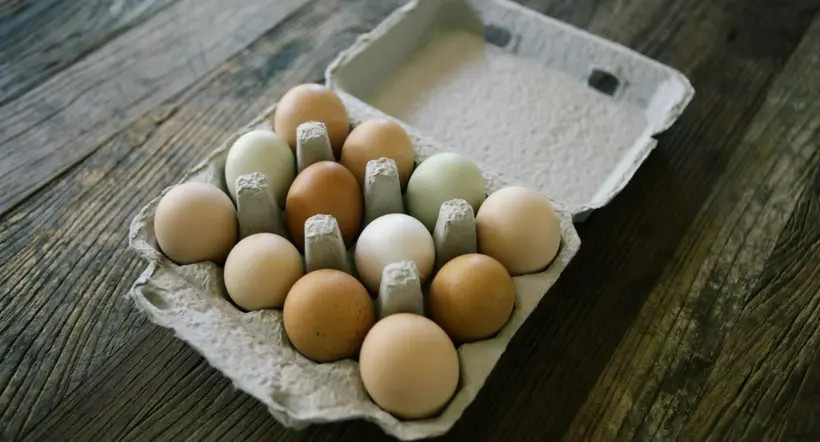 Familia en Panamá compró caja de huevos y se llevaron sorpresa al abrirla.