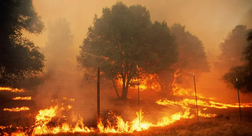 Más de 60 hectáreas se quemaron en incendio forestal en Valencia de Jesús