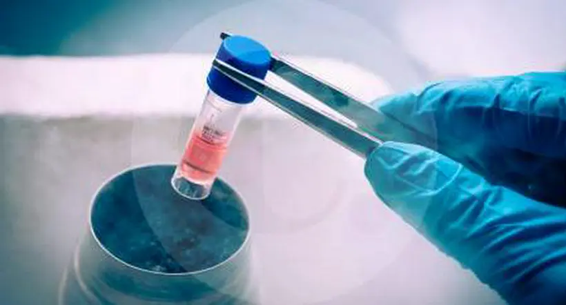 Ya son tres  pacientes con VIH que logran curarse gracias a un trasplante de células madre