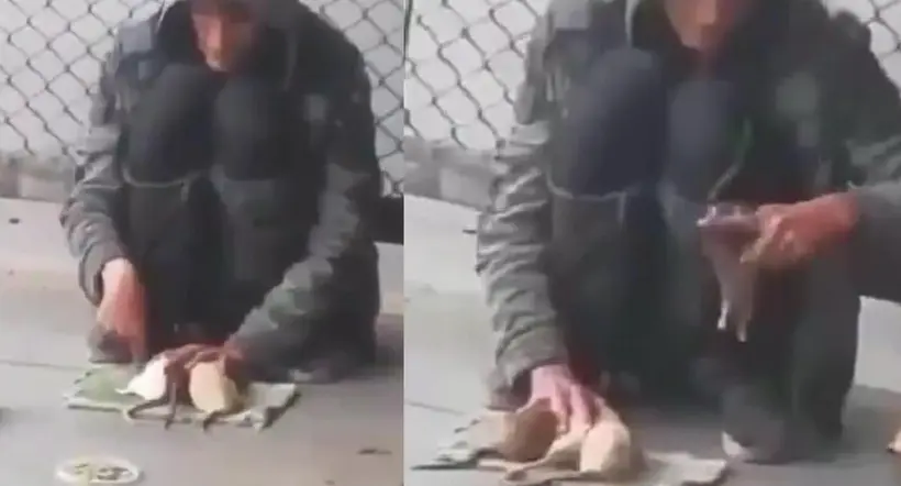 Video ciral de ratas: hombre adiestra a los animales en la calle