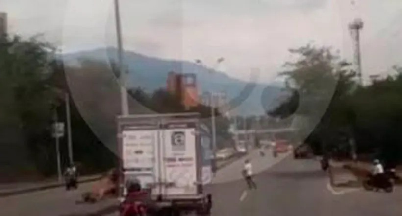 Vaca descontrolada se estrelló contra motociclista en autopista de Medellín