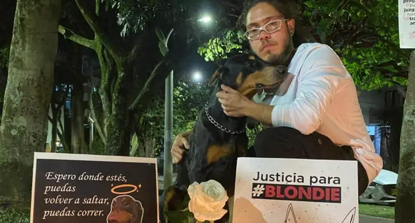 Con velatón rechazaron envenenamiento de la perrita “Blondie” en Medellín