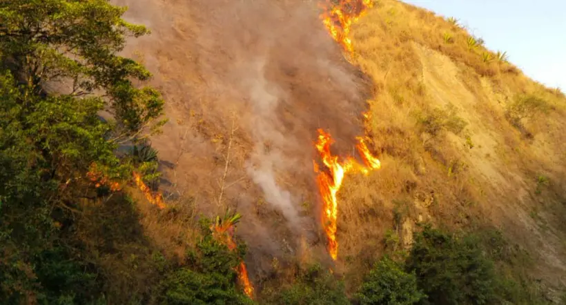 Calidad del aire en Bogotá emeporaría con las emergencias por incendios forestales en Cundinamarca