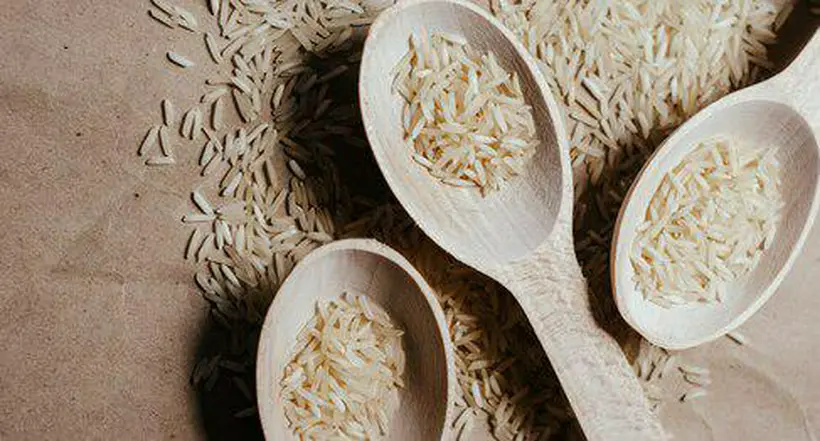 Receta de arroz: 3 opciones para variar el menú en el almuerzo