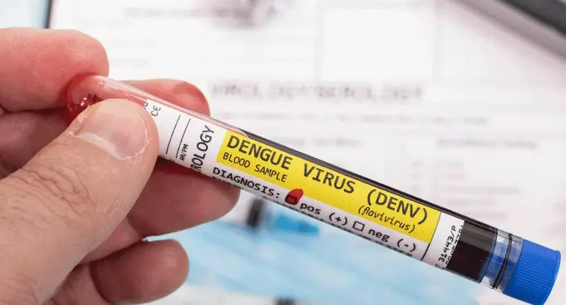 Brotes de Dengue se han registrado en Colombia: 103 municipios afectados
