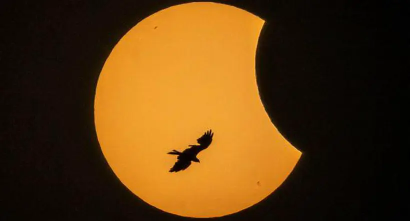 Primer eclipse solar del 2023; ¿cuándo y cómo verlo?