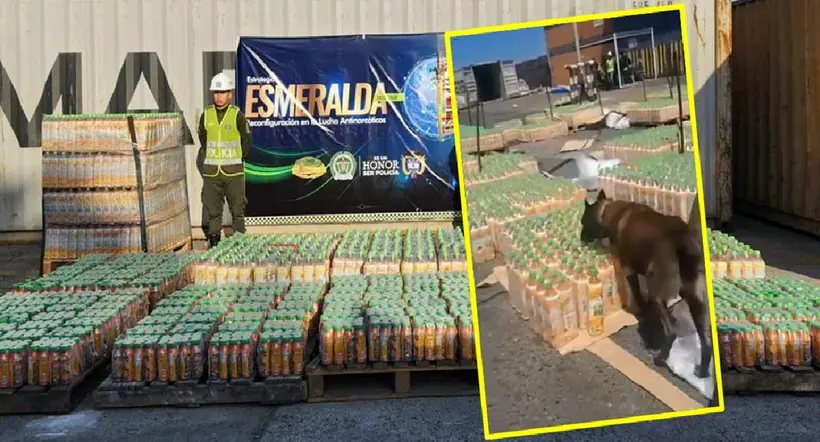 Perro encontró droga camuflada en Barranquilla
