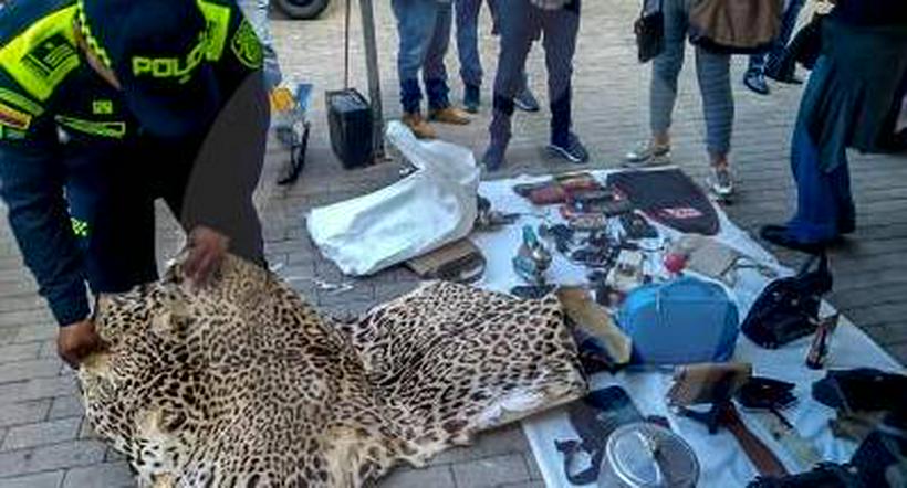 Traficantes de fauna fueron pillados con la piel de un jaguar en Medellín