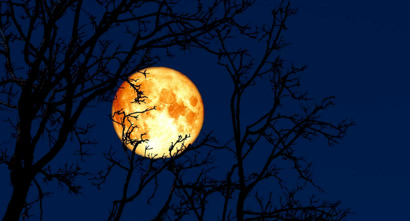 Luna brillante a propósito de cuáles son los eventos astronómicos de marzo.