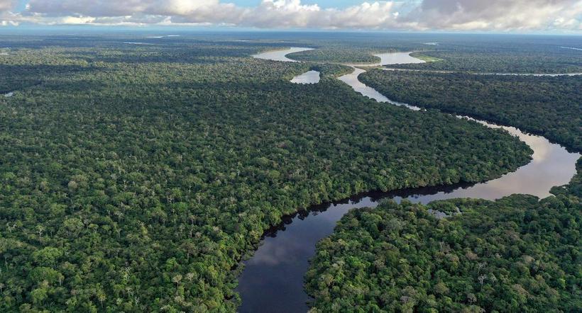 El Instituto Amazónico de Investigaciones Científicas (SINCHI) publicó este lunes un estudio que no tiene precedentes y advierten de catástrofe. 