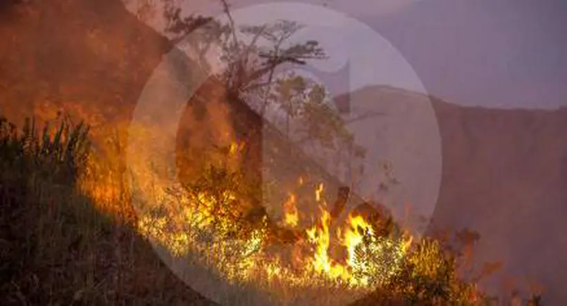 Antioquia tiene alerta por oleada de incendios: van 8 en pocos días