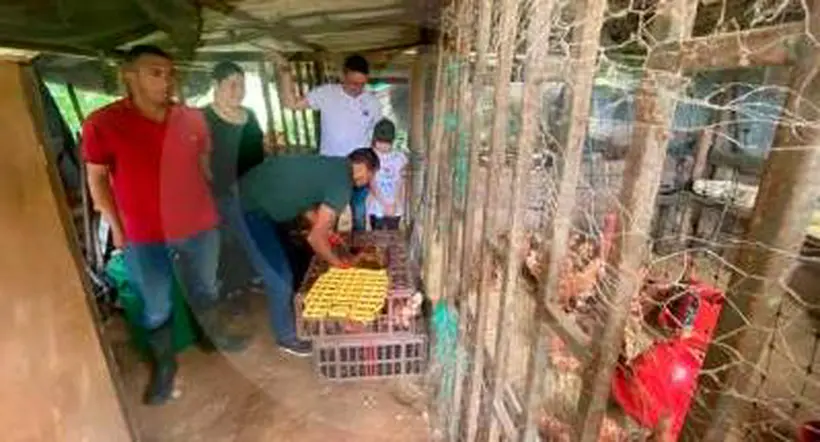Antioquia: familia que perdió 70 gallinas por pólvora recibió donación