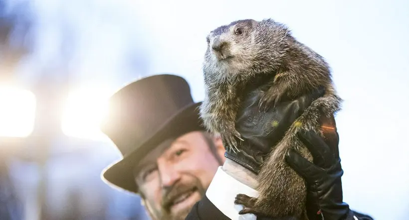 2 de febrero día de la marmota en Estados Unidos.
