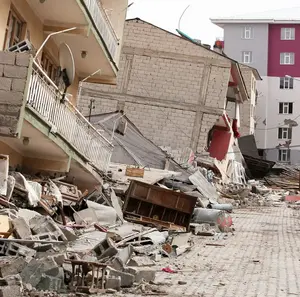 Foto de terremoto de Turquía a propósito de pájaros que habrían predicho el sismo