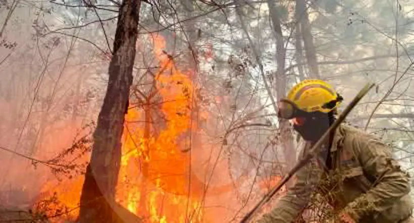 Antioquia: se perdieron 16 hectáreas de cerro debido a incendios causados