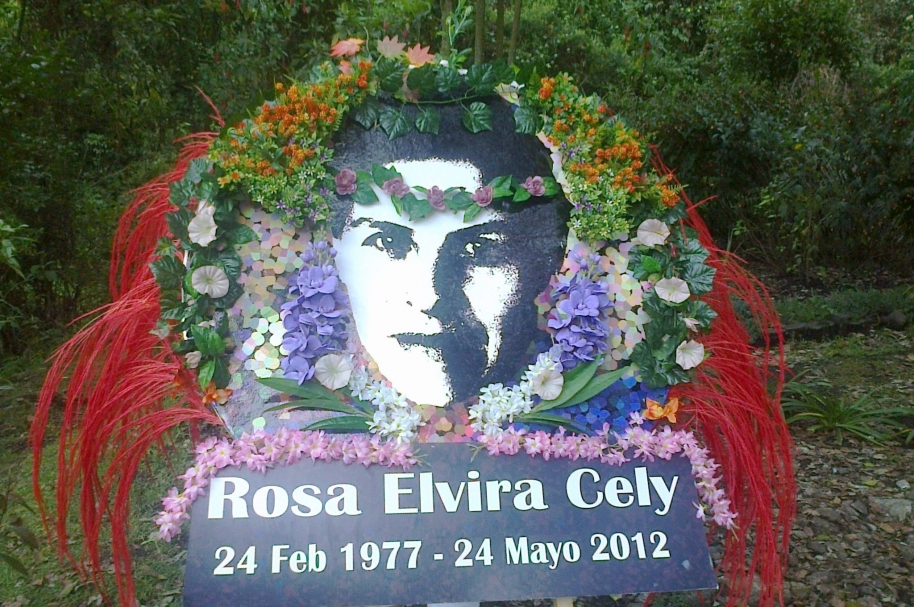 Rosa Elvira Cely