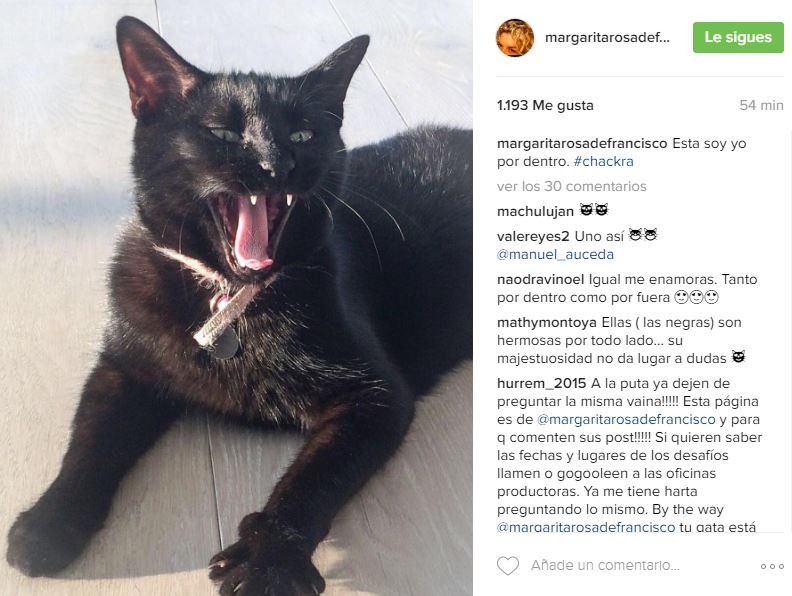 Margarita Rosa de Francisco Instagram