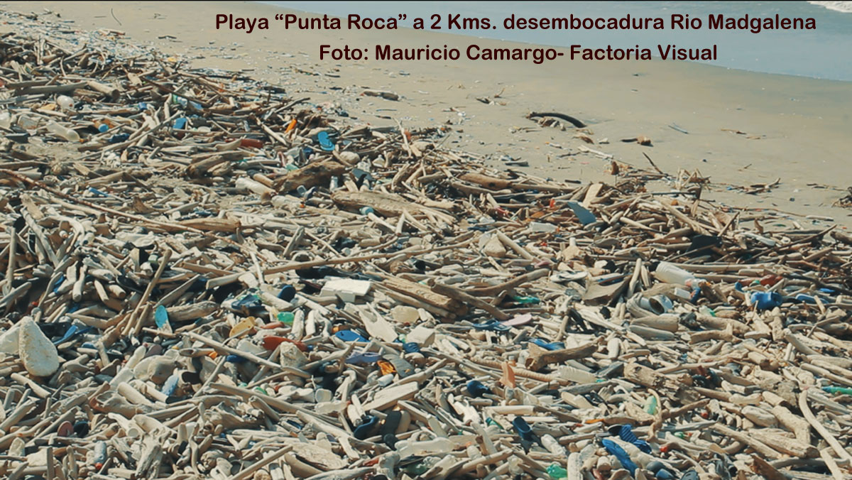 Playa Punta Roca1