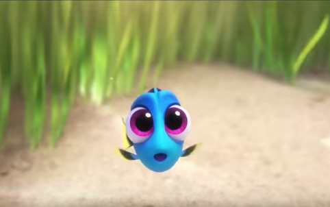 Finding Dory Video De Dory Bebe Finding Dory Video De Dory Bebe