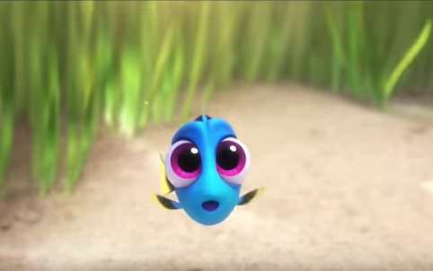 Finding Dory Video De Dory Bebe