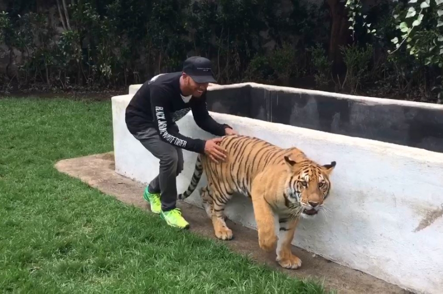 Hamilton y un tigre
