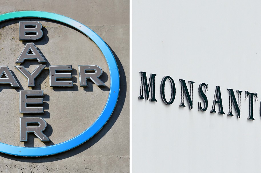 Logo Bayer - Monsanto