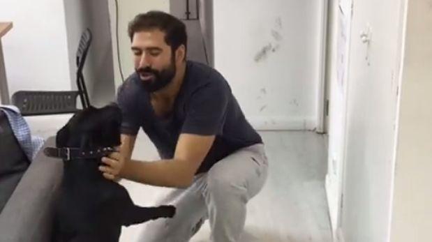 Hombre educando a perro.
