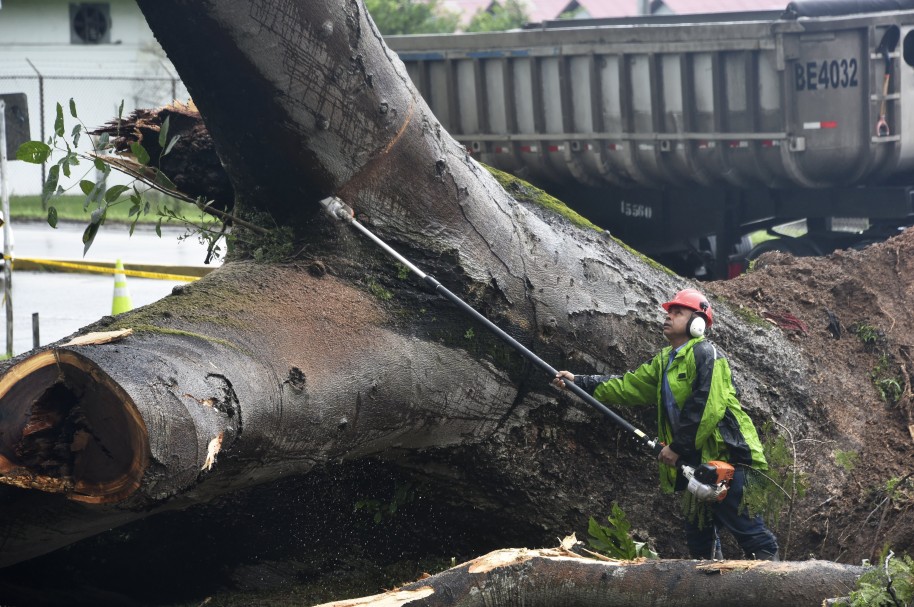 El huracán Orro tumbó varios árboles en su paso por Panamá