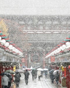 Nieve en Tokio
