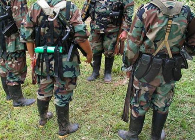 Guerrilleros de las Farc