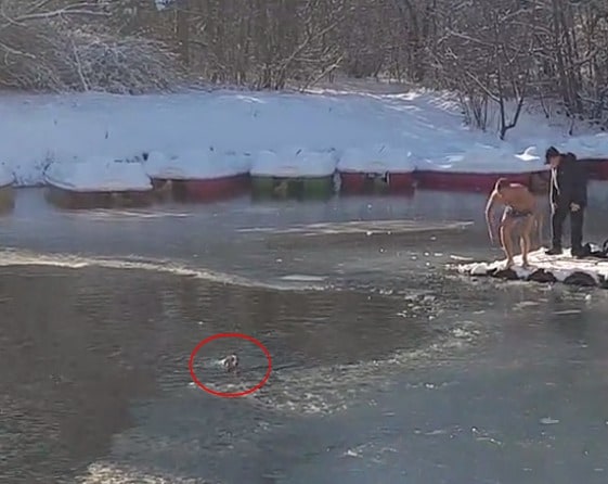 Hombre rescata a perro atrapado en estanque. Pulzo.com