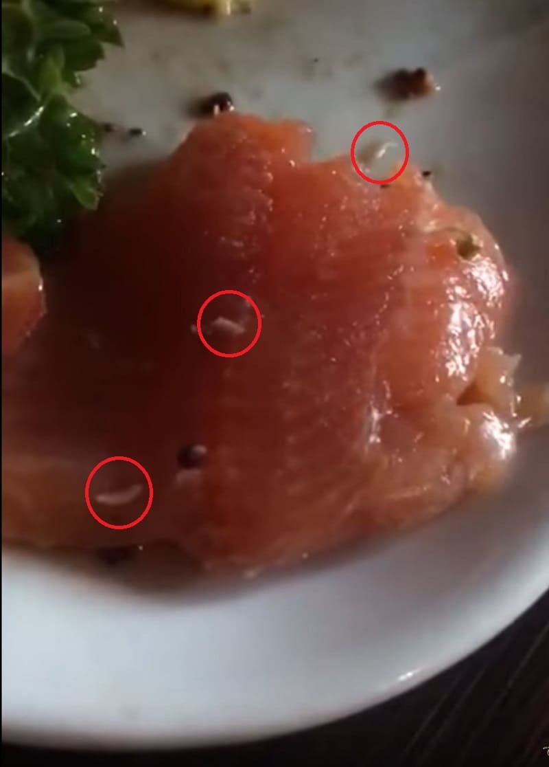 Gusanos en salmón de Oma