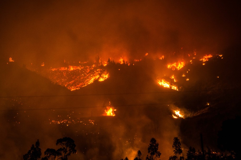 Incendio forestal en Chile