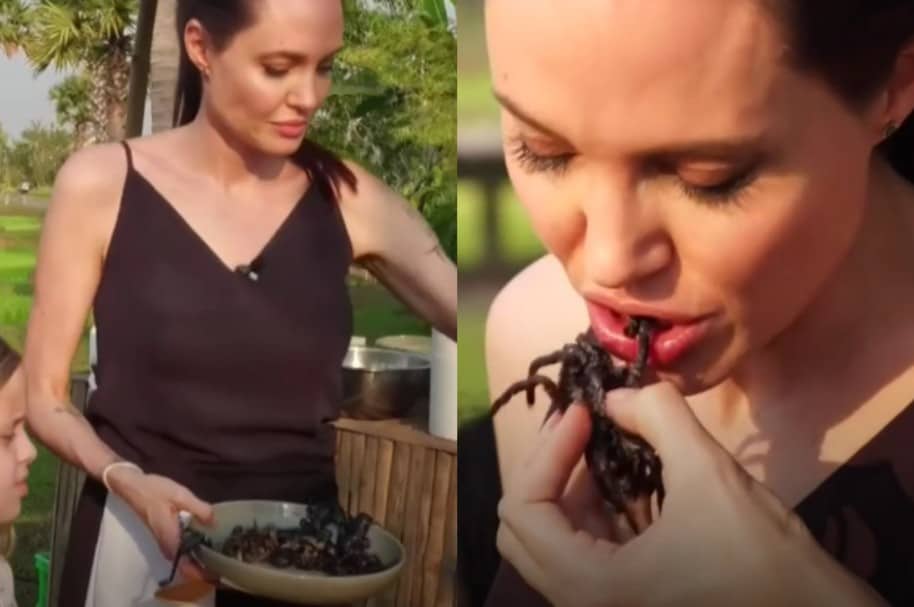 Angelina Jolie comiendo insectos