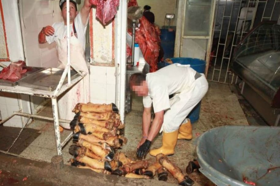 Carne en mal estado