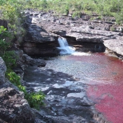 Caño Cristales, La Macarena