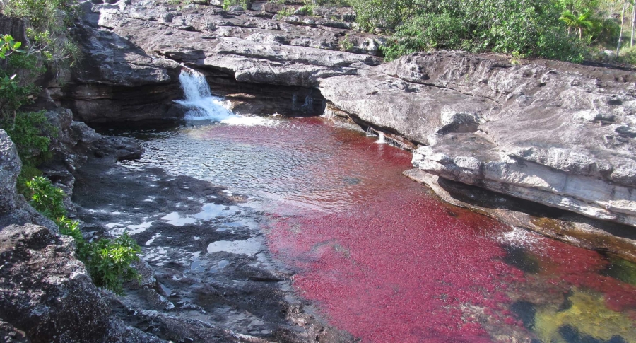 Caño Cristales, La Macarena
