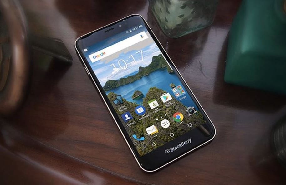 Black Berry Aurora