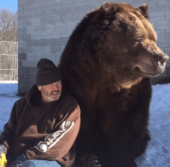 Hombre y su amigo oso. Pulzo.com