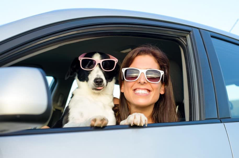 Perro y su dueña en un carro. Pulzo.com