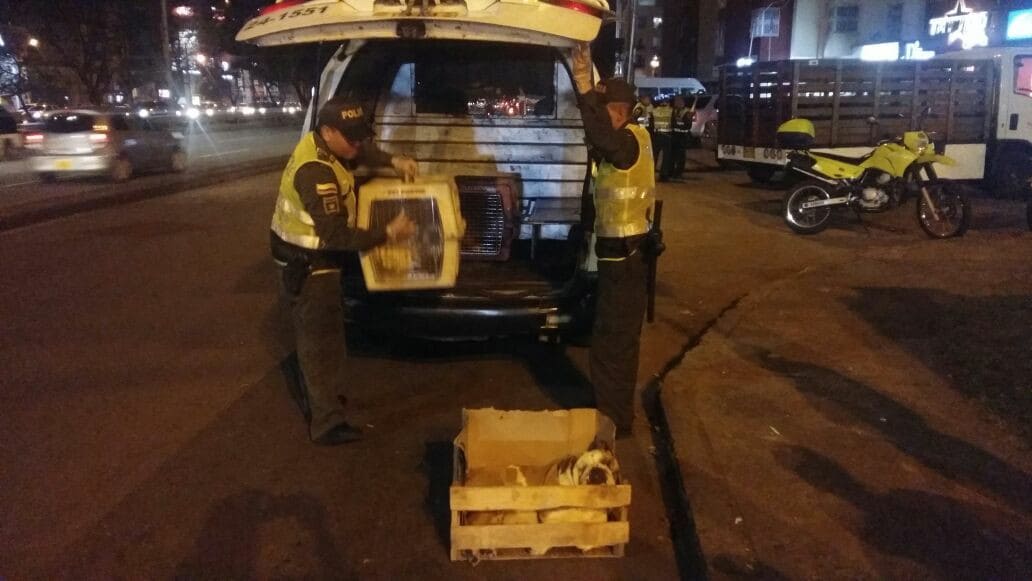 Perro bulldog rescatado por la Policía Perro bulldog rescatado por la Policía