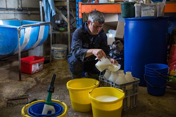 Producción de leche