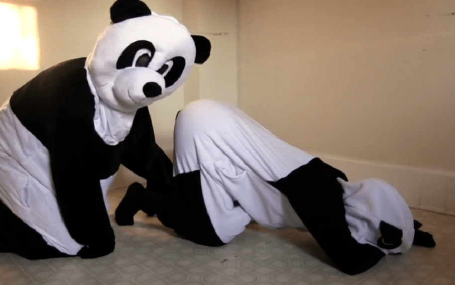 Porno para pandas