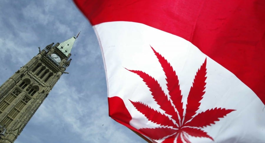 Bandera de Canadá con hoja de marihuana
