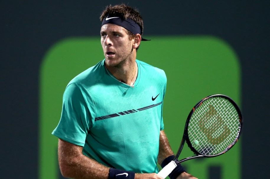 Juan Martín Del Potro