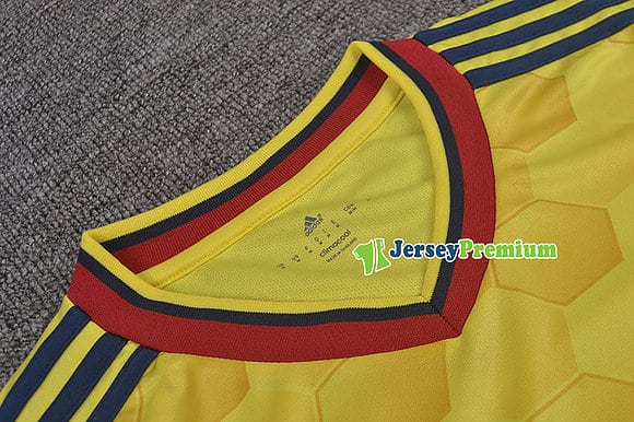 Camiseta selección Colombia