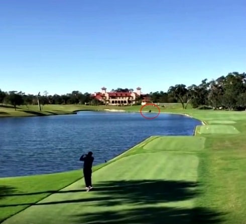 Golfista mata a pato con un tiro. Pulzo.com